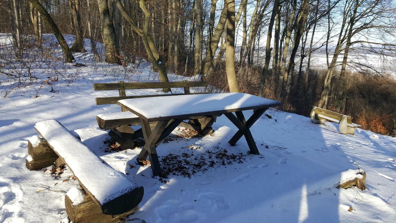 Ferienwohnung Bleicherode Esterno foto