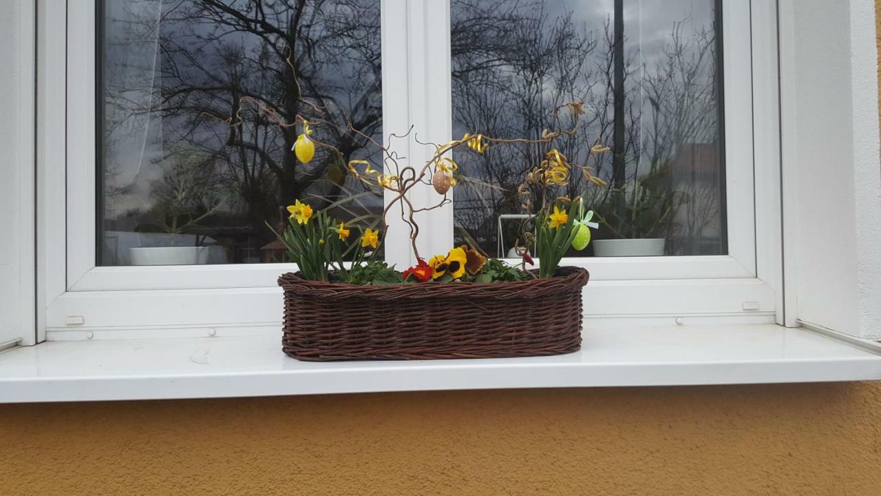 Ferienwohnung Bleicherode Esterno foto